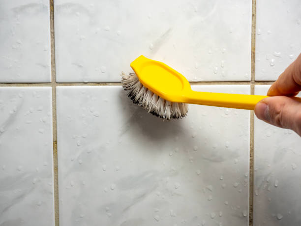 Best Residential Mold Removal  in Gladwin, MI