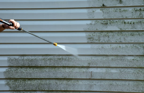 Best Water Damage Restoration  in Gladwin, MI